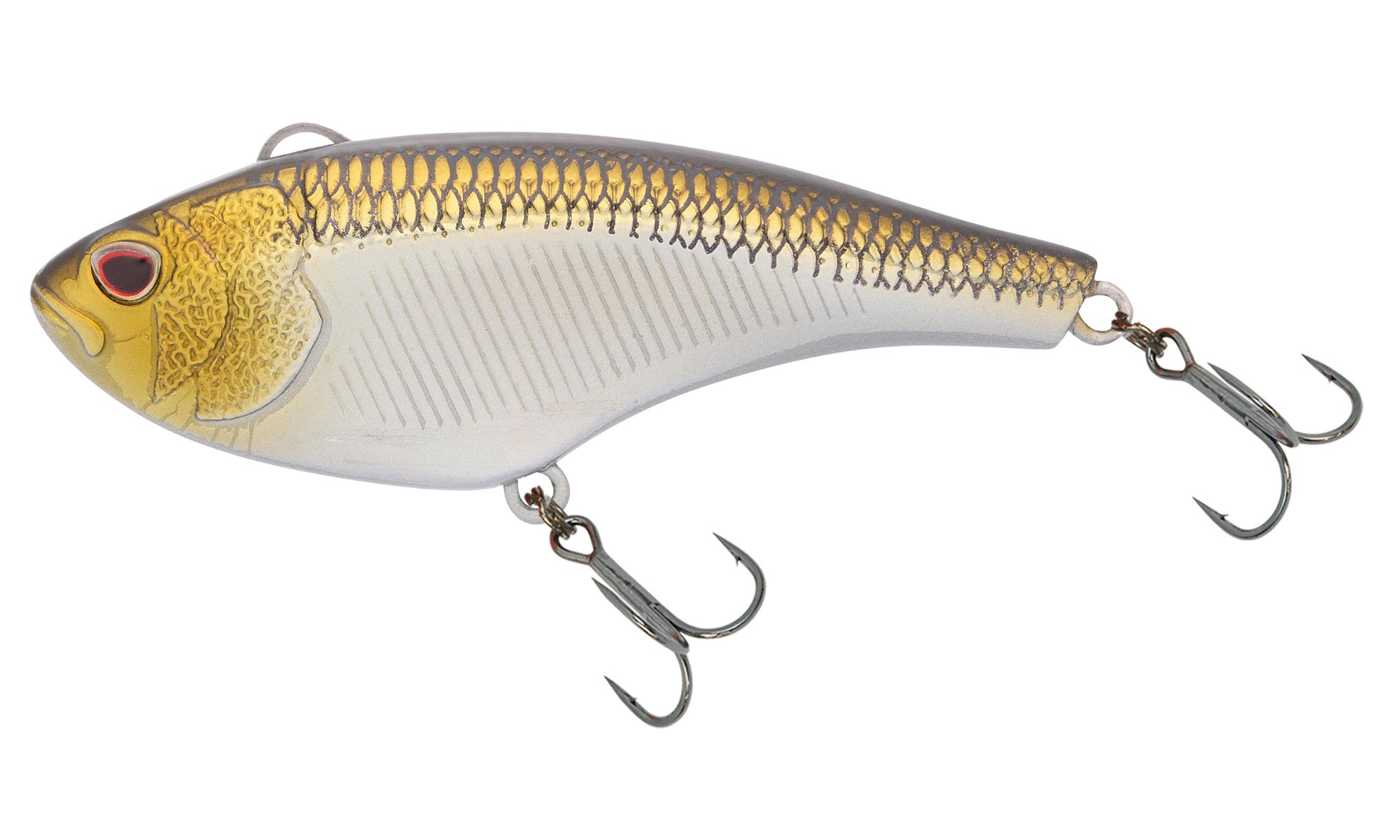 Blue Gill Ayu