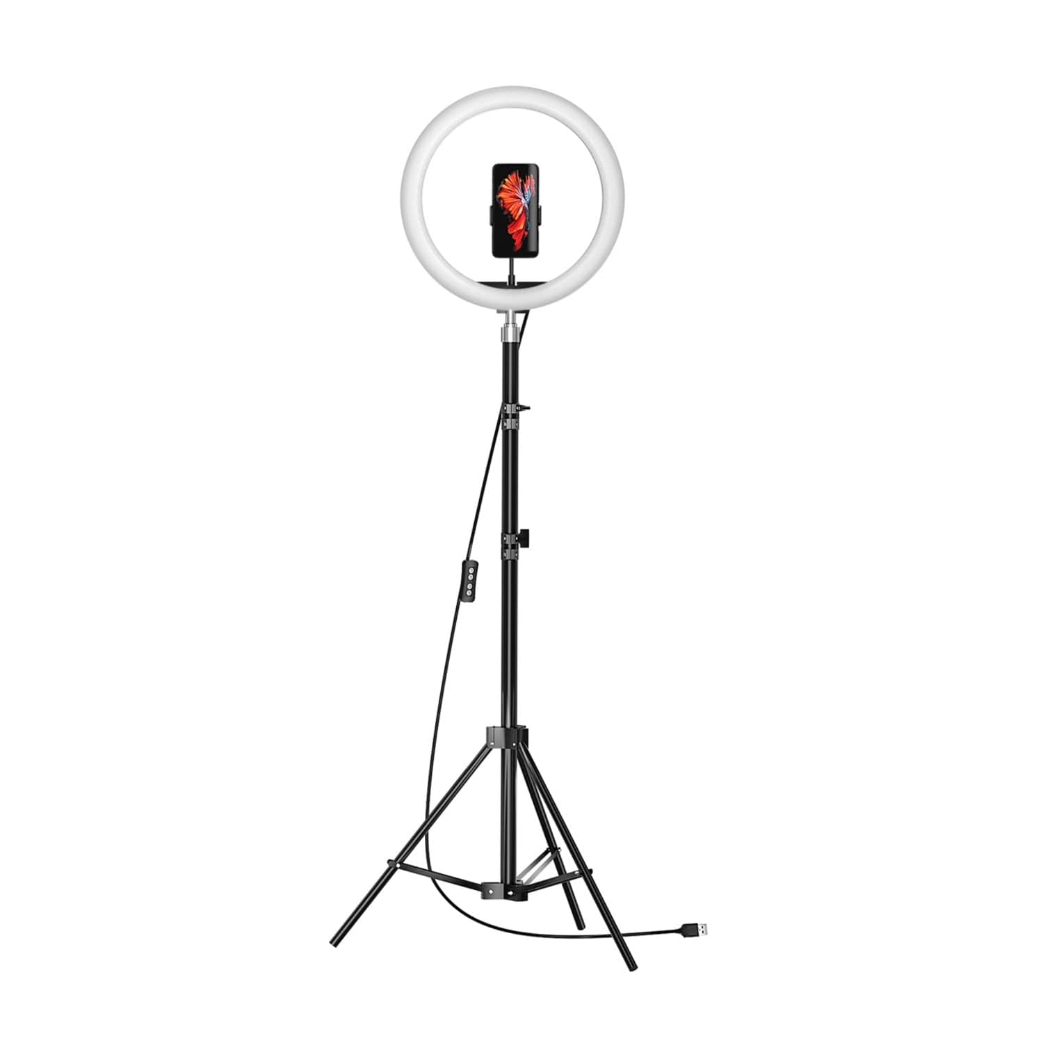 Amazon Basics 12-inch LED Ring Light with Stand, Hot Shoe Adapter & Phone Holder - 3 Color Temperature Modes (3200K-5600K) for Photography, Video Recording, Live Streaming, YouTube Videos and TikTok Content Creation
