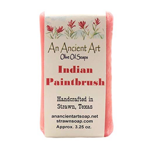 Indian Paintbrush