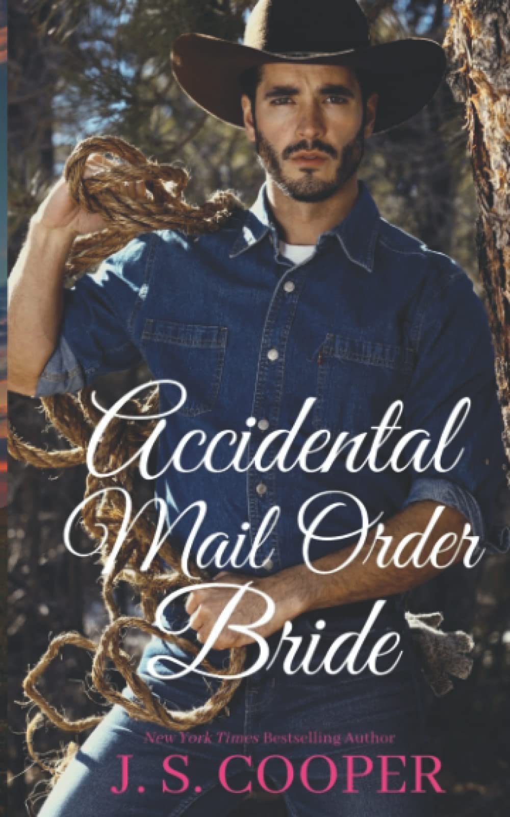 Accidental Mail Order Bride - The Brothers at Horseshoe Ranch | Western Romance Novel | Perfect for Book Clubs & Vacation Reading