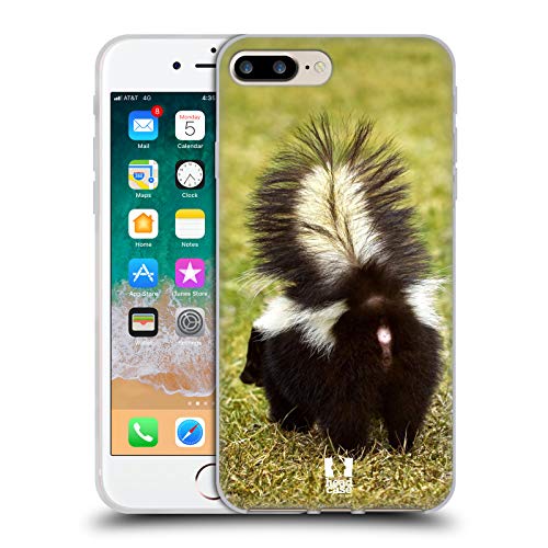 Striped Skunk