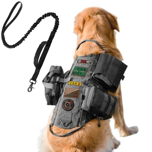 Black(With Leash)