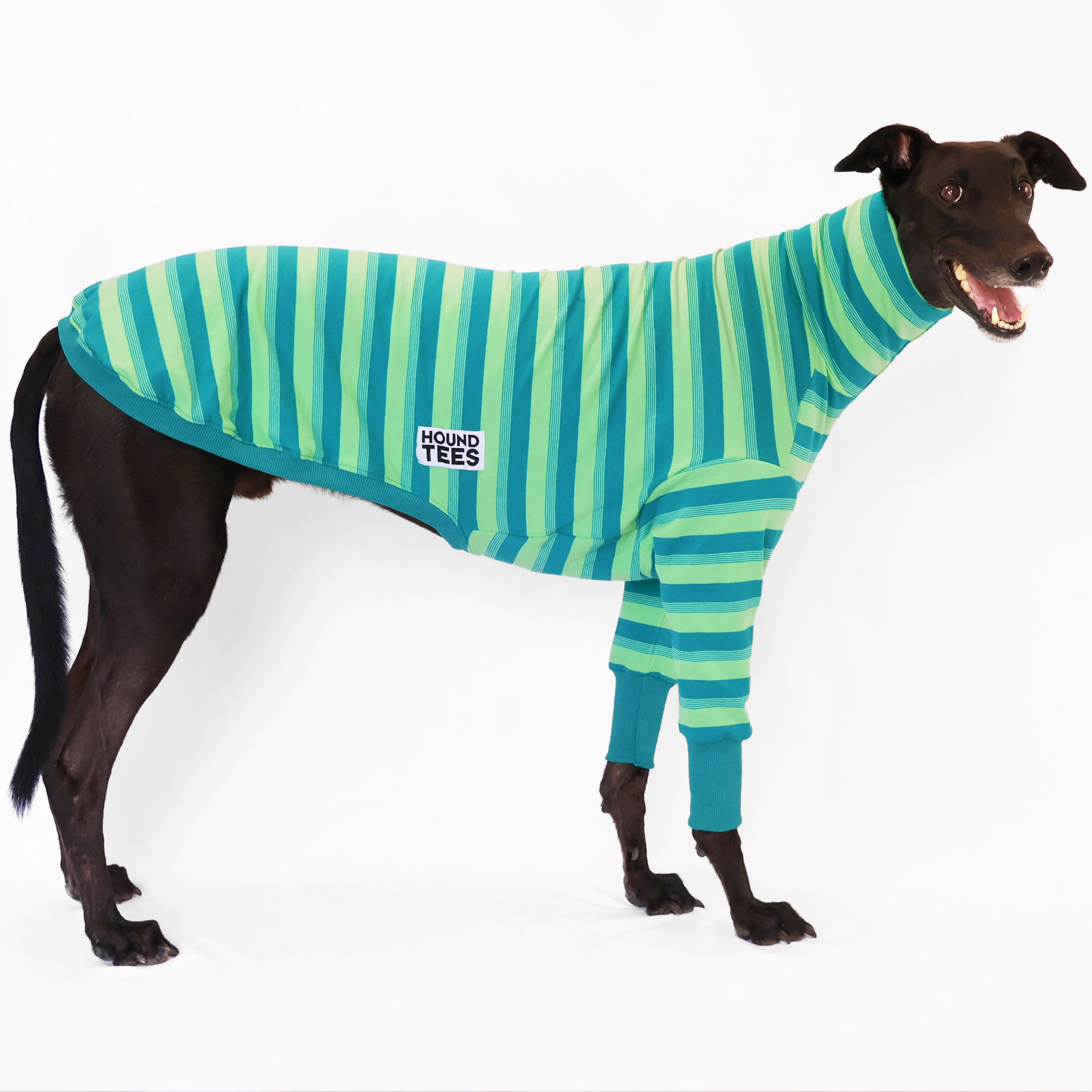 Premium Cockatoo Greyhound Long Sleeve Sweater for Men & Women - Cozy Knit Pullover for Dog Lovers, Pet Owners & Outdoor Activities