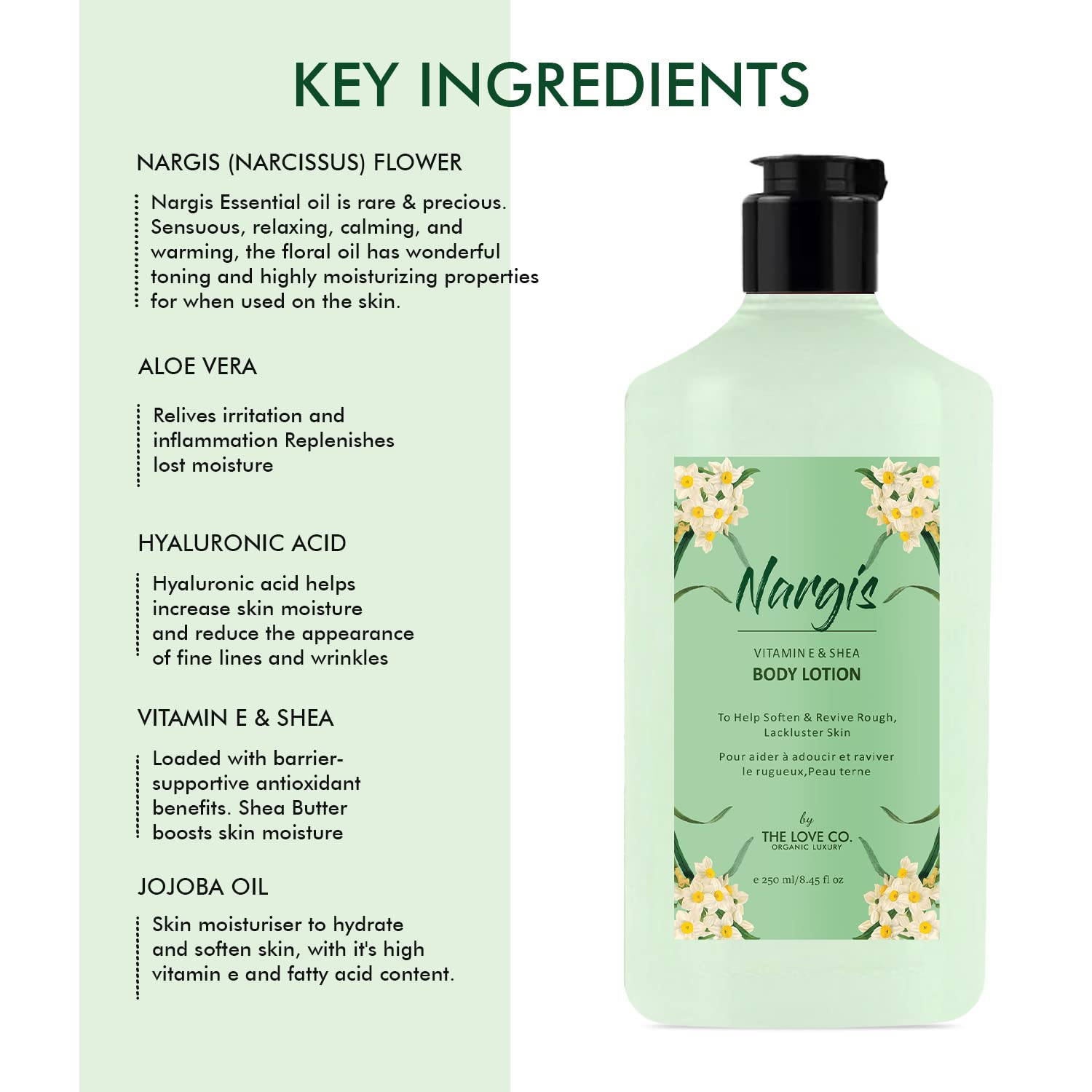 THE LOVE CO. Nargis Body Lotion - Hydrating & Nourishing Dry Skin Moisturizer with Jojoba Oil, Shea Butter & Vitamin E - 250ml - Unisex Daily Moisturizing Cream for Women & Men - Perfect for After Shower, Nighttime Skincare & Winter Care