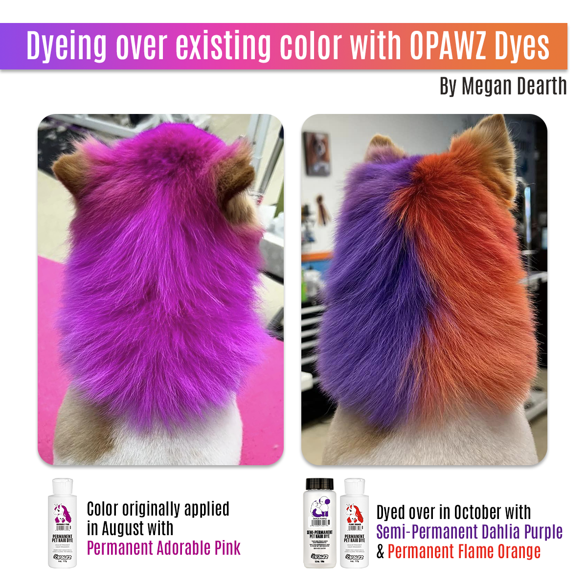 Flame Orange Dog Hair Dye (PD18) - Safe & Vibrant Pet Fur Color for Dogs - Perfect for Halloween, Costume Parties & Creative Grooming