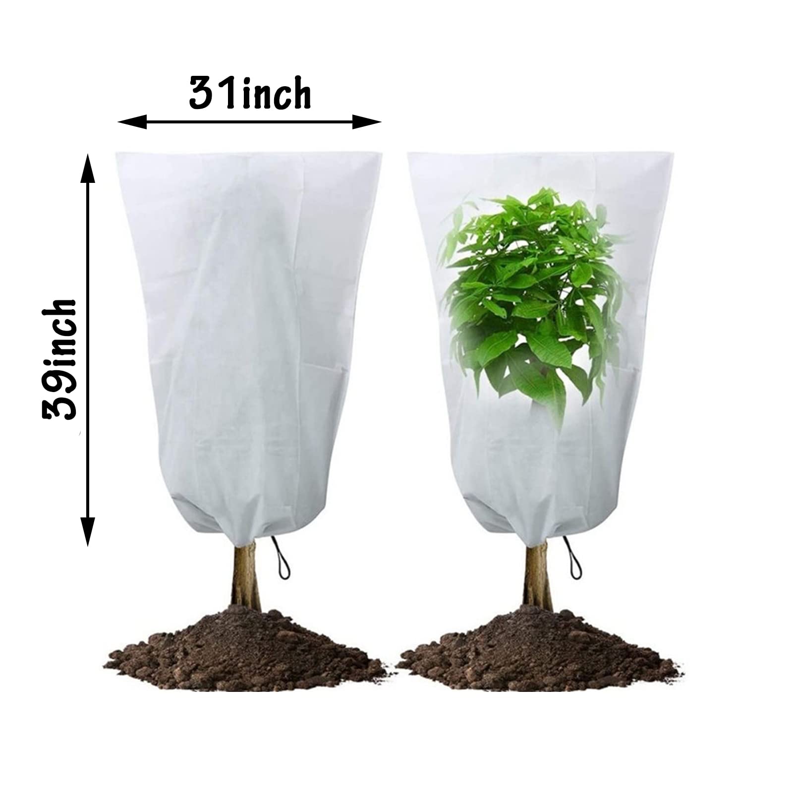 3PCS 31