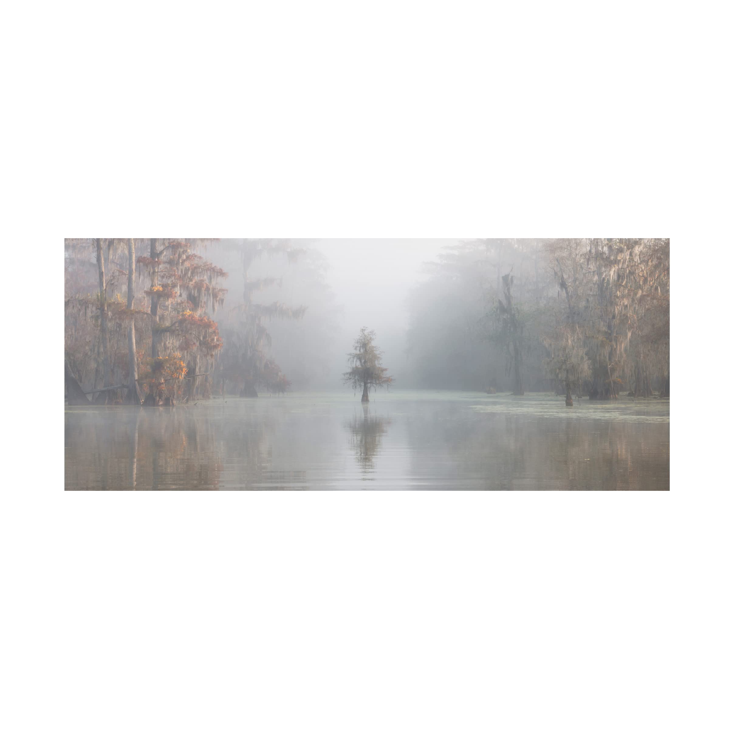 Roberto Marchegiani 'Misty Bayou 2' Canvas Wall Art Print - Modern Landscape Painting for Living Room, Bedroom & Office Decor