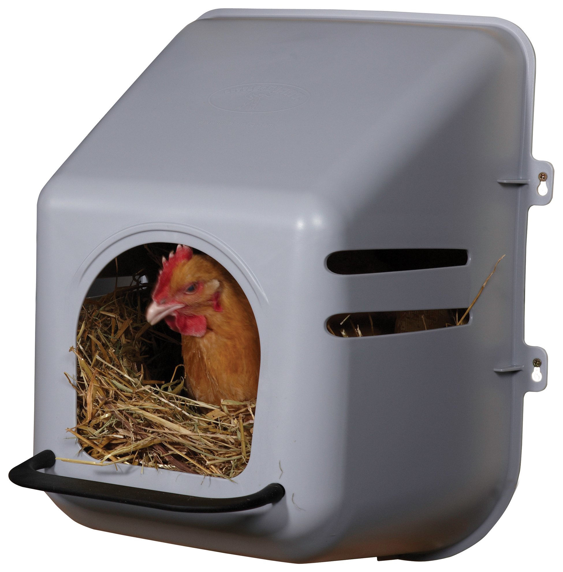 Little Giant Single Plastic Nesting Box for Chickens with Perch - Durable Poultry Nesting Box for Hens (Item No. 163620) - Perfect for Backyard Chicken Coops and Small Farms