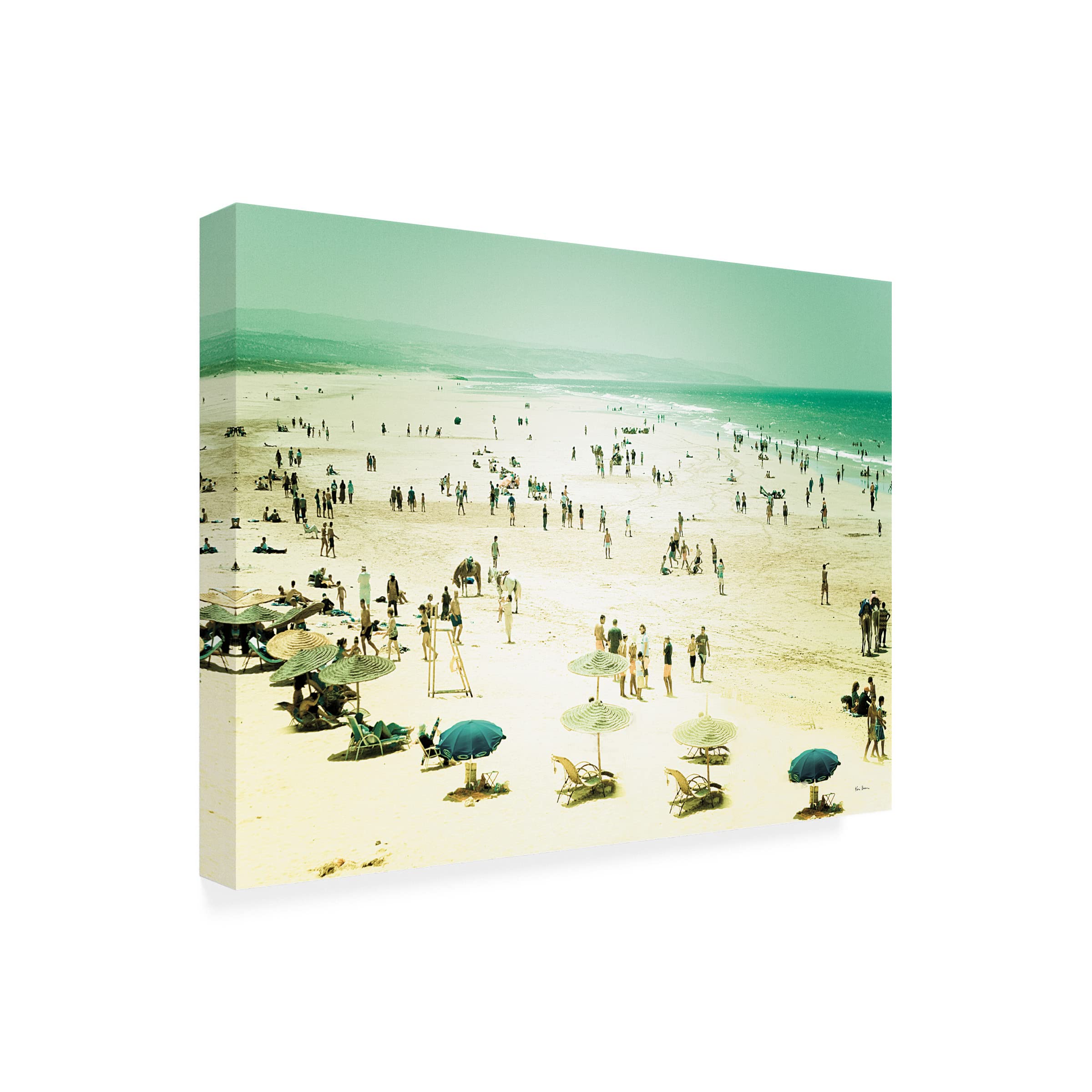 Trademark Fine Art 'In the Garden' Canvas Wall Art by Jim Dratfield - Floral Home Decor for Living Room, Bedroom & Office