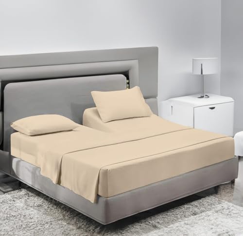 Ivory Solid