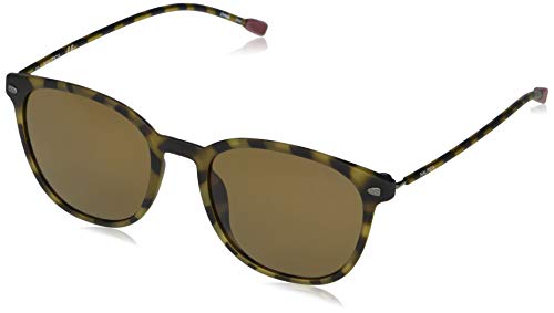 Matte Tokyo Tortoise