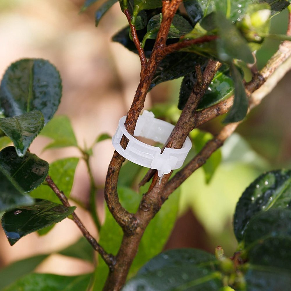 KINGLAKE 200 Pcs Plant Support Garden Clips - Tomato Vine Clips & Trellis Clips for Healthy Vertical Growth of Vine Vegetables, Tomatoes, Cucumbers | Perfect for Home Gardening, Greenhouses & Backyard Farms