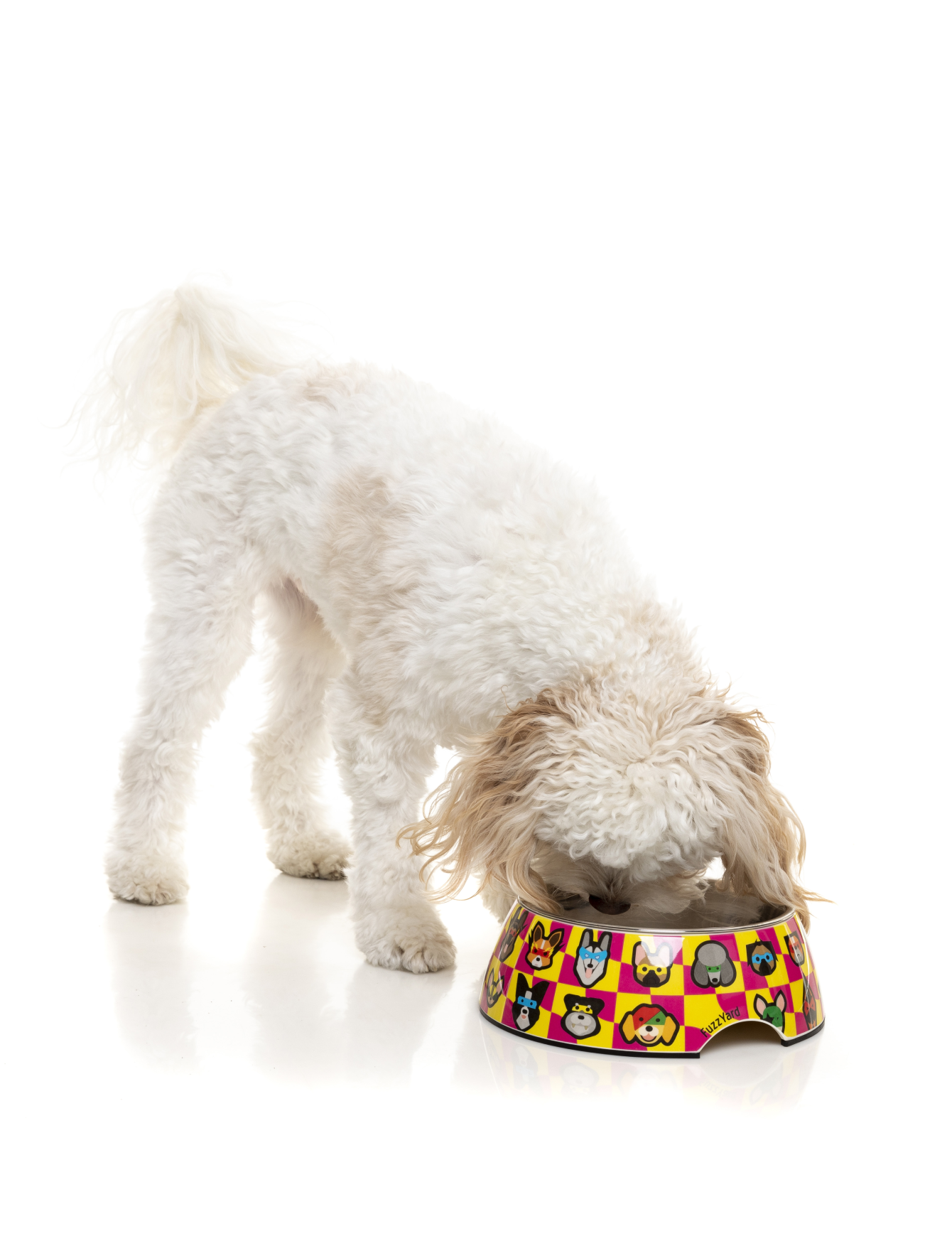 FuzzYard Easy Feeder Slow Feed Dog Bowl - Non-Slip Pet Food Dish for Small Medium Large Dogs - Perfect for Fast Eaters & Mealtime Enrichment