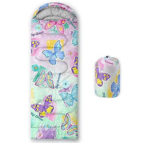 Colorful Butterflies and Flowers 2