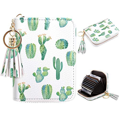 C Cactus