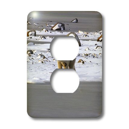3D Rose Polar Bears 2-Pack Outlet Cover - Decorative Electrical Socket Protector for Kids & Pets - Perfect for Nursery, Living Room, and Office Safety