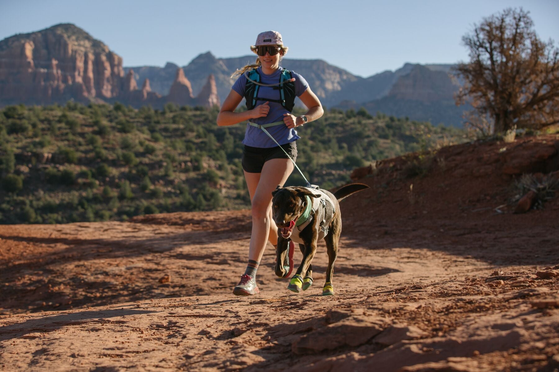 Ruffwear Flagline® Multi-Use Reflective Dog Harness - High-Visibility Yellow (Phosphorescent Lichen Green) for Hiking, Running & Nighttime Safety