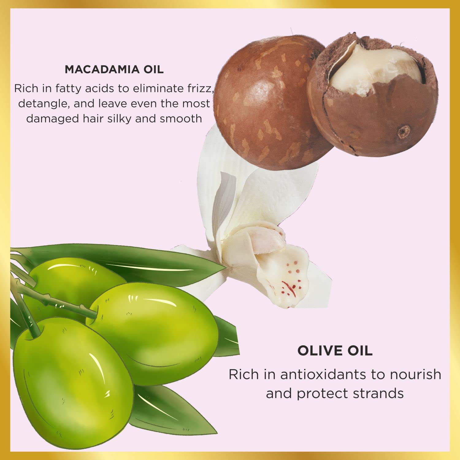HASK Macadamia Oil Hair Treatment - 18ml Deep Moisturizing Oil for Dry, Damaged Hair - Repair & Nourish Split Ends - Perfect for Daily Hydration & Salon-Quality Shine at Home