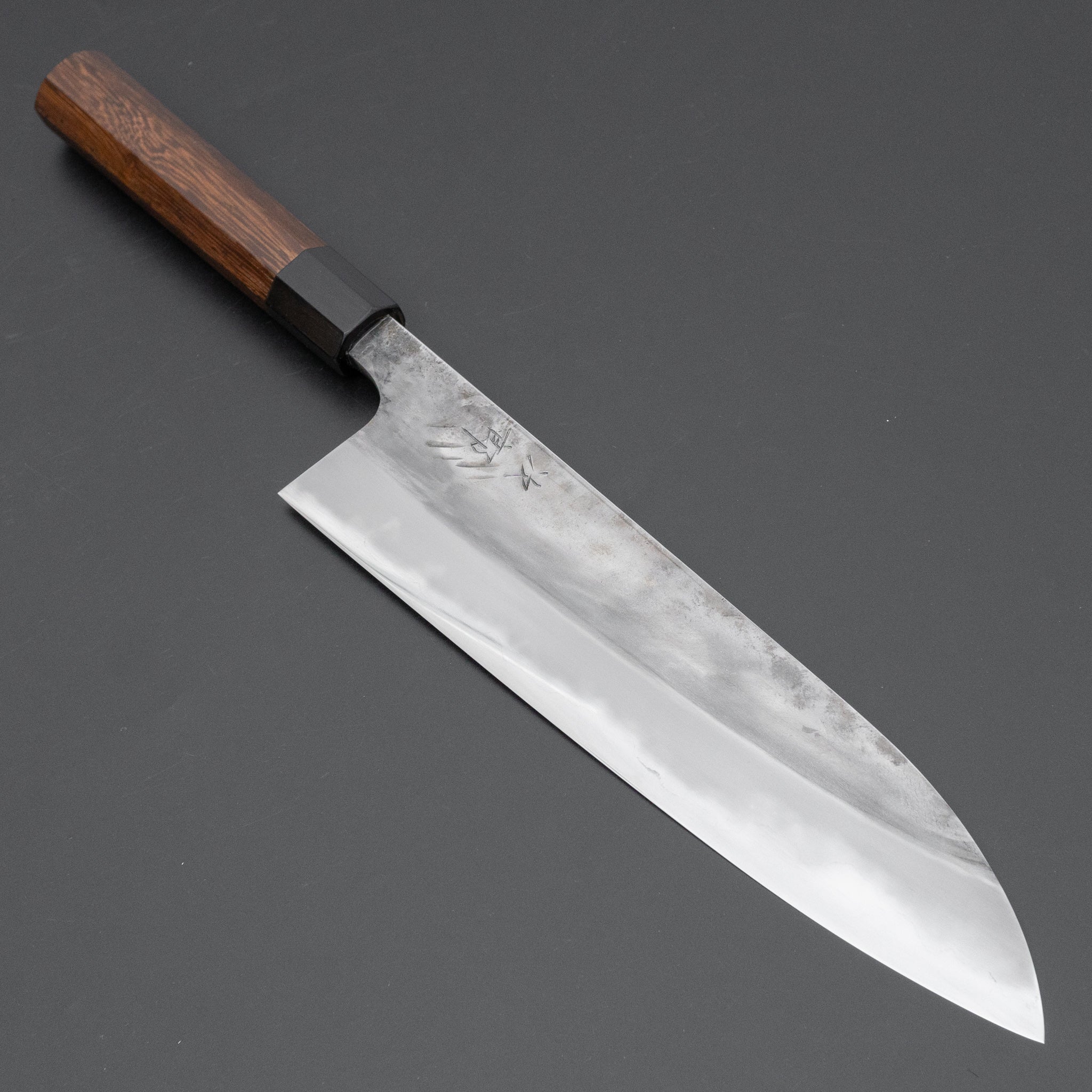 Premium Jiro Tsuchime Wa Gyuto 240mm Japanese Chef Knife with Taihei Tagayasan Handle (#669) - Perfect for Professional Chefs & Home Cooking, Sushi Preparation & Meat Cutting