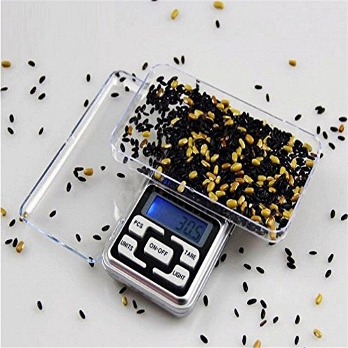 Gallity Digital Pocket Scale 500g x 0.1g Precision - Jewelry Scale, Kitchen Scale, Coffee Scale with LCD Display & Tare Function - Perfect for Food, Medicine, Powder Weighing & Home Use