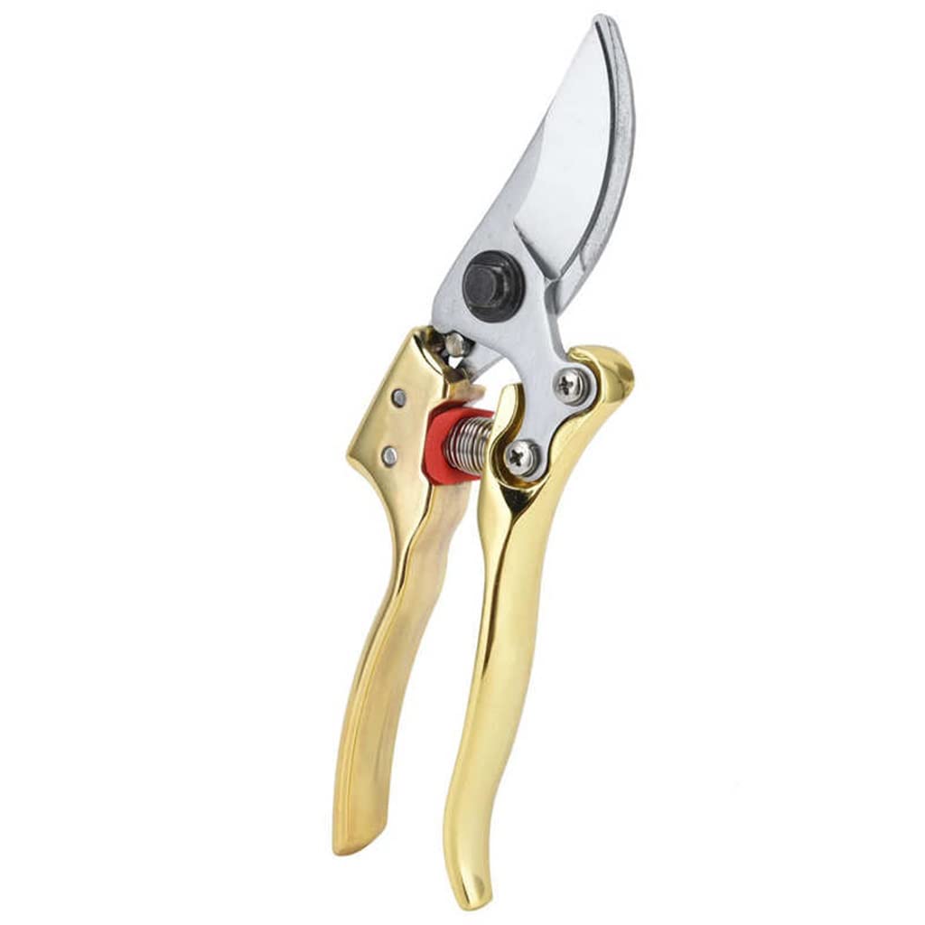 Premium Gardening Pruning Shears - Sharp Bypass Pruner for Branch Trimming, Home Garden, Floral Arrangement & Landscaping | Ergonomic Hand Tool for Easy Cutting & Pruning