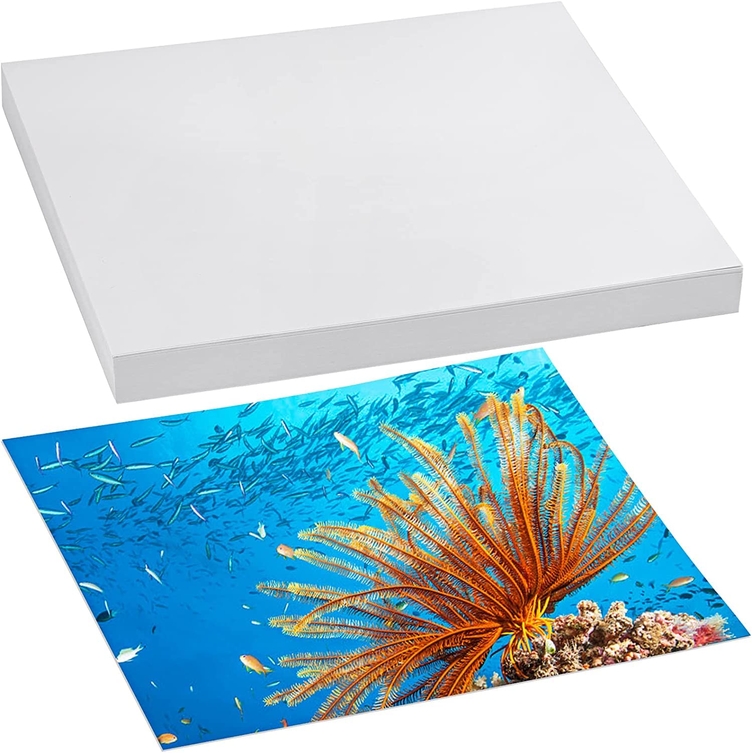 100 Sheets Premium Glossy Photo Paper 8