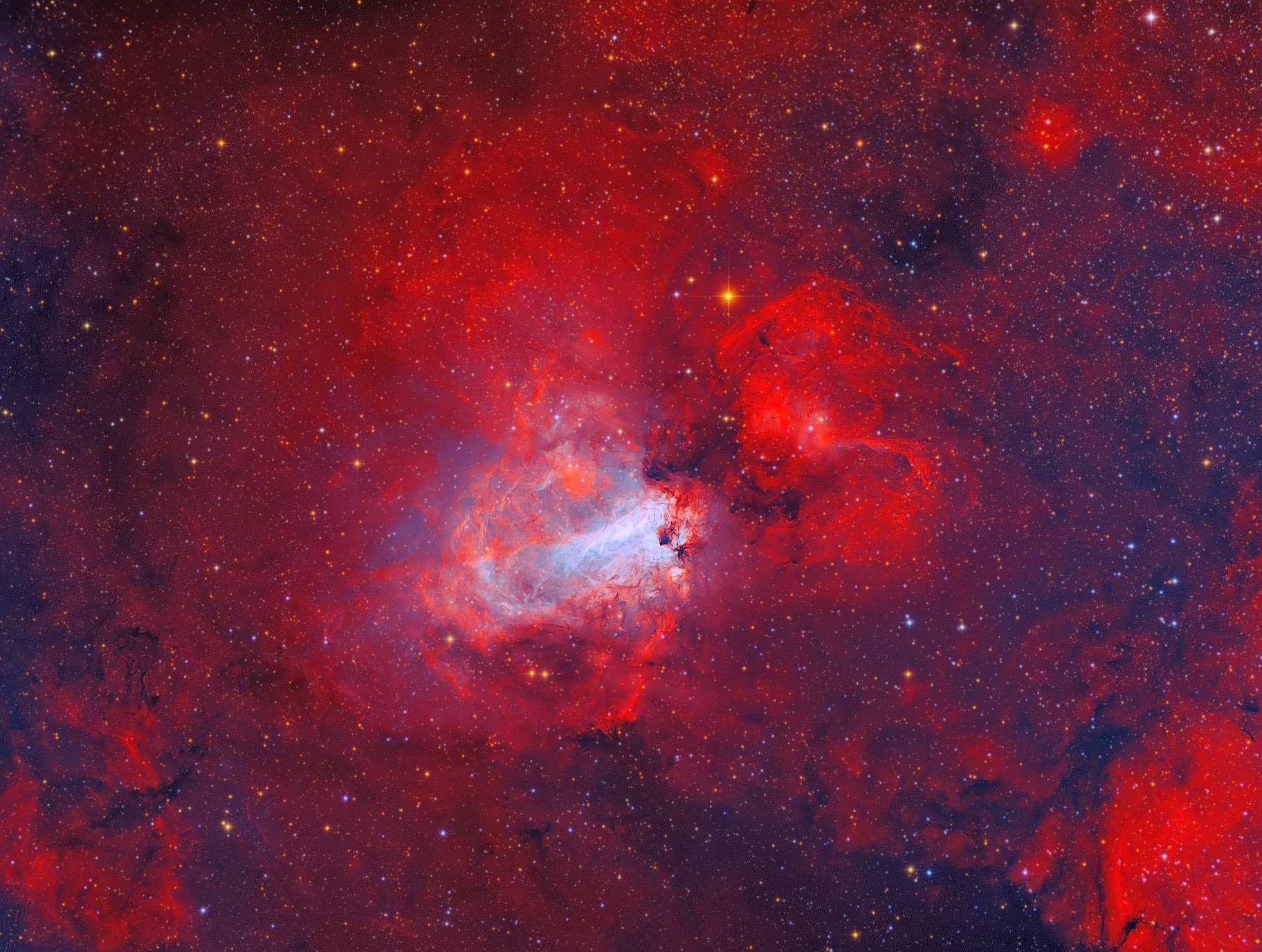 HyperStar C11 V4 Telescope - High Performance Astronomy Telescope for Stargazing, Astrophotography & Celestial Observation - Perfect for Beginners & Advanced Astronomers