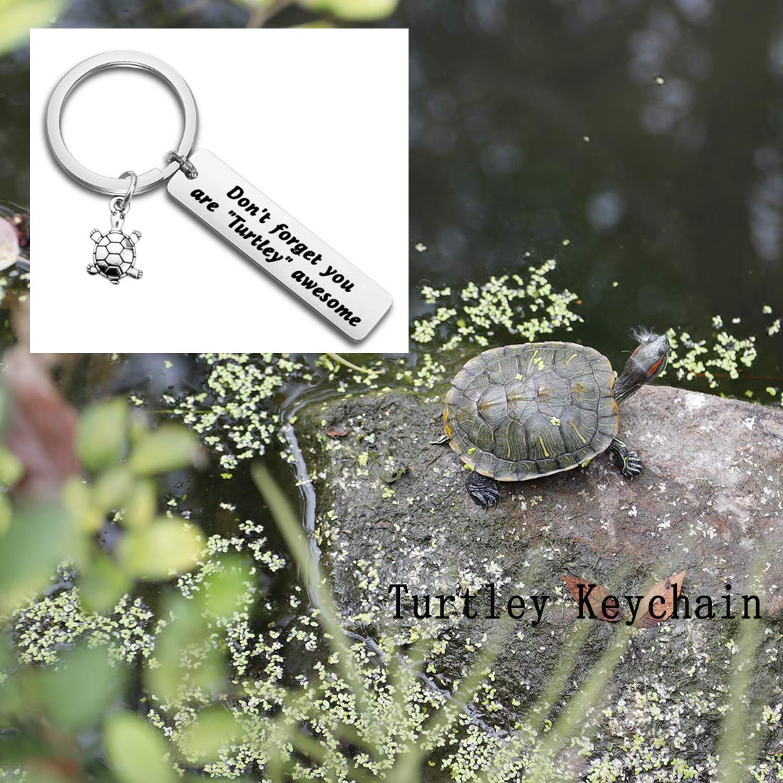 HOLLP Turtle Bracelet - Stylish Bangle Beach Jewelry for Women | Don't Ever Forget You're Turtley Awesome | Perfect for Summer Vacations, Beach Parties & Gift Giving