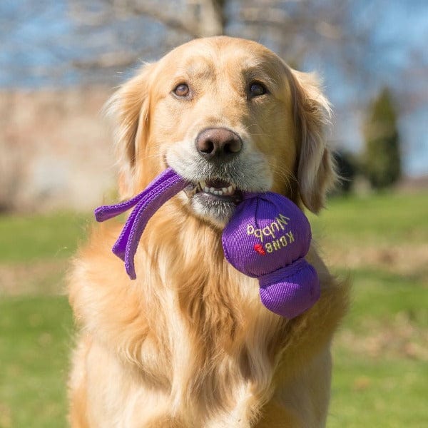 KONG Wubba Interactive Dog Toy - Durable Chew Toy for Small & Large Dogs - Perfect for Fetch, Tug-of-War & Training - Best Dog Gift for Active Pets