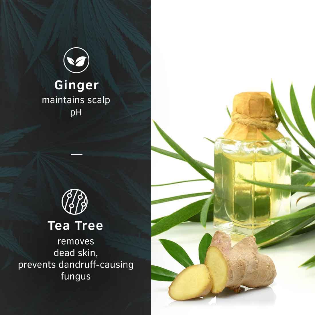 Ustraa Anti-Dandruff Hair Serum with Tea Tree & Ginger - 200ml | pH Balanced Scalp Treatment | Sulfate & Paraben Free | Fights Dandruff & Soothes Itchy Scalp | Perfect for Daily Hair Care & Scalp Health Maintenance