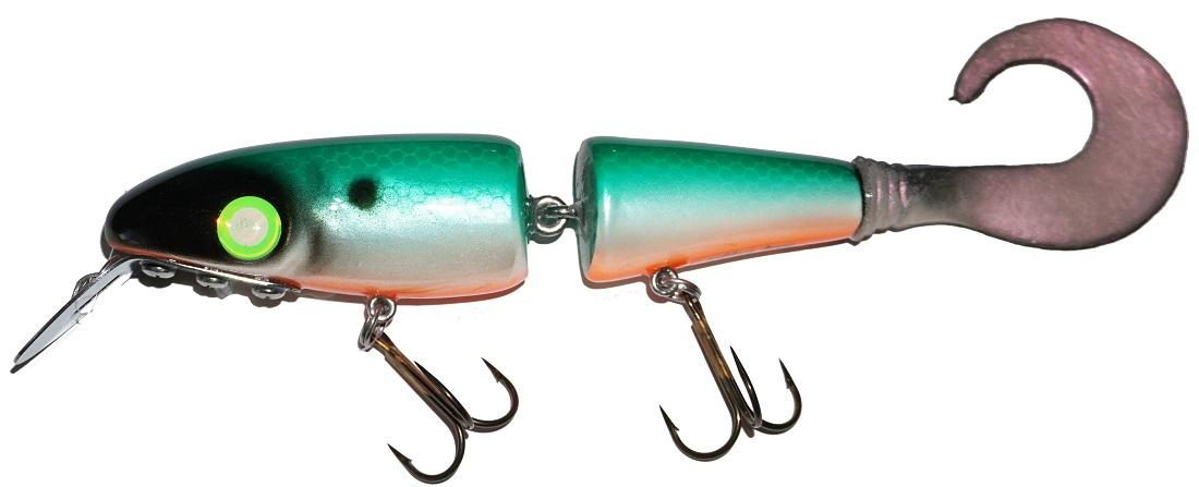 citrus shad