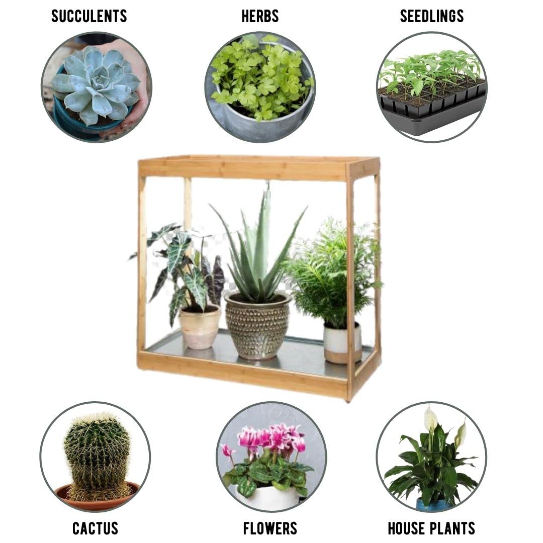 Medium Bamboo LED Grow Light Stand for Indoor Plants - Energy Efficient Grow Light for Herbs, Succulents & Seedlings | Perfect for Home Gardening, Hydroponics & Indoor Greenhouses