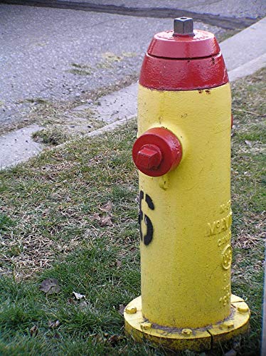 Vibrant Yellow Fire Hydrant Laminated Poster - 20x30 Inch Home Decor Wall Art - Durable & Fade-Resistant - Perfect for Living Room, Bedroom, Office or Man Cave Decoration