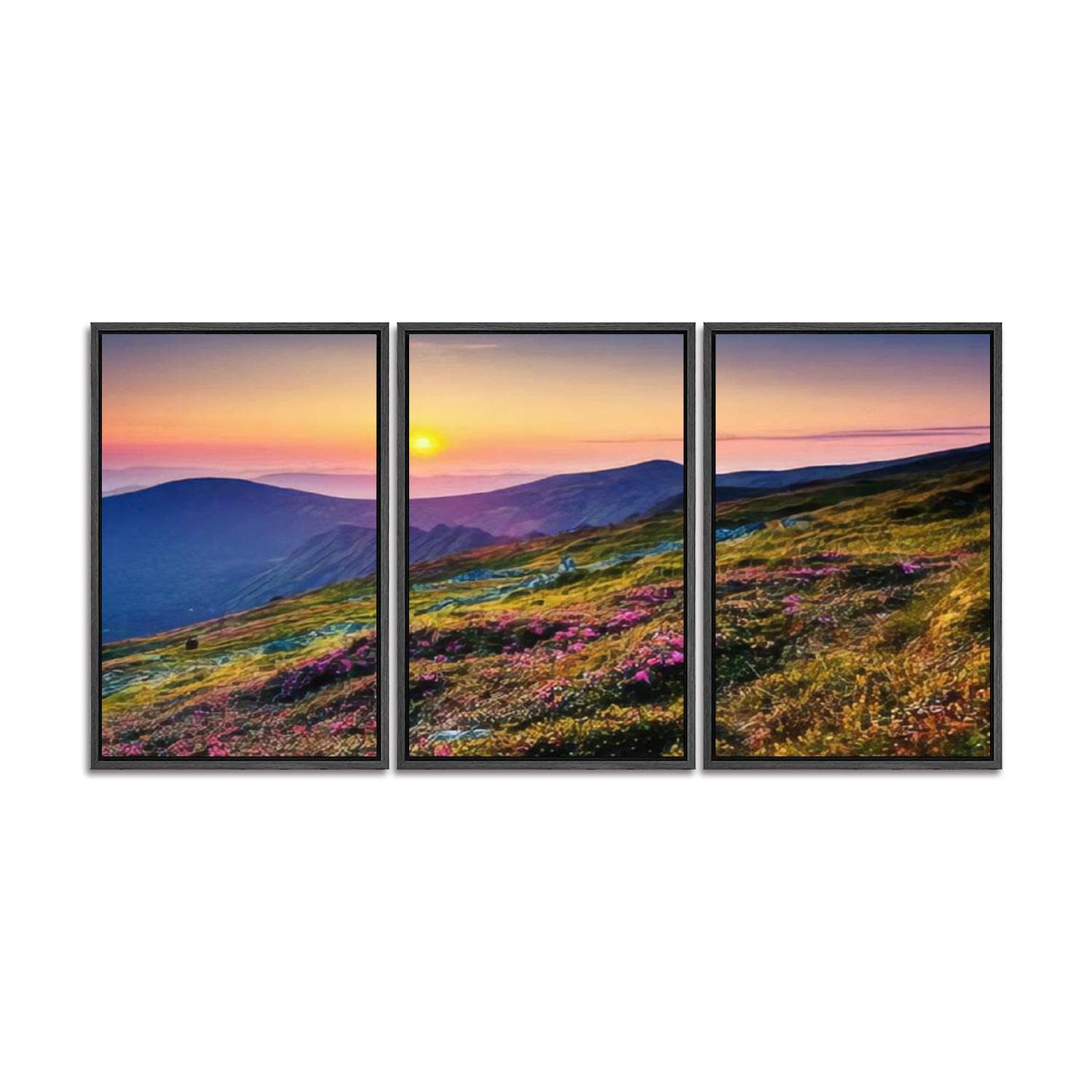 Stunning Pink Rhododendron Flowers in Summer Carpathian Mountains Ukraine - Black Wood Frame 3 Panel Canvas Wall Art (16x24 inch) for Living Room, Bedroom & Office Decor | Nature Landscape Painting | Home & Office Wall Decor | Perfect for Housewarming Gifts & Interior Design