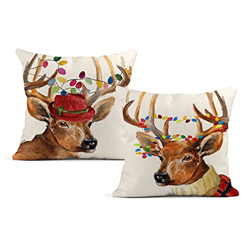 Christmas Reindeer