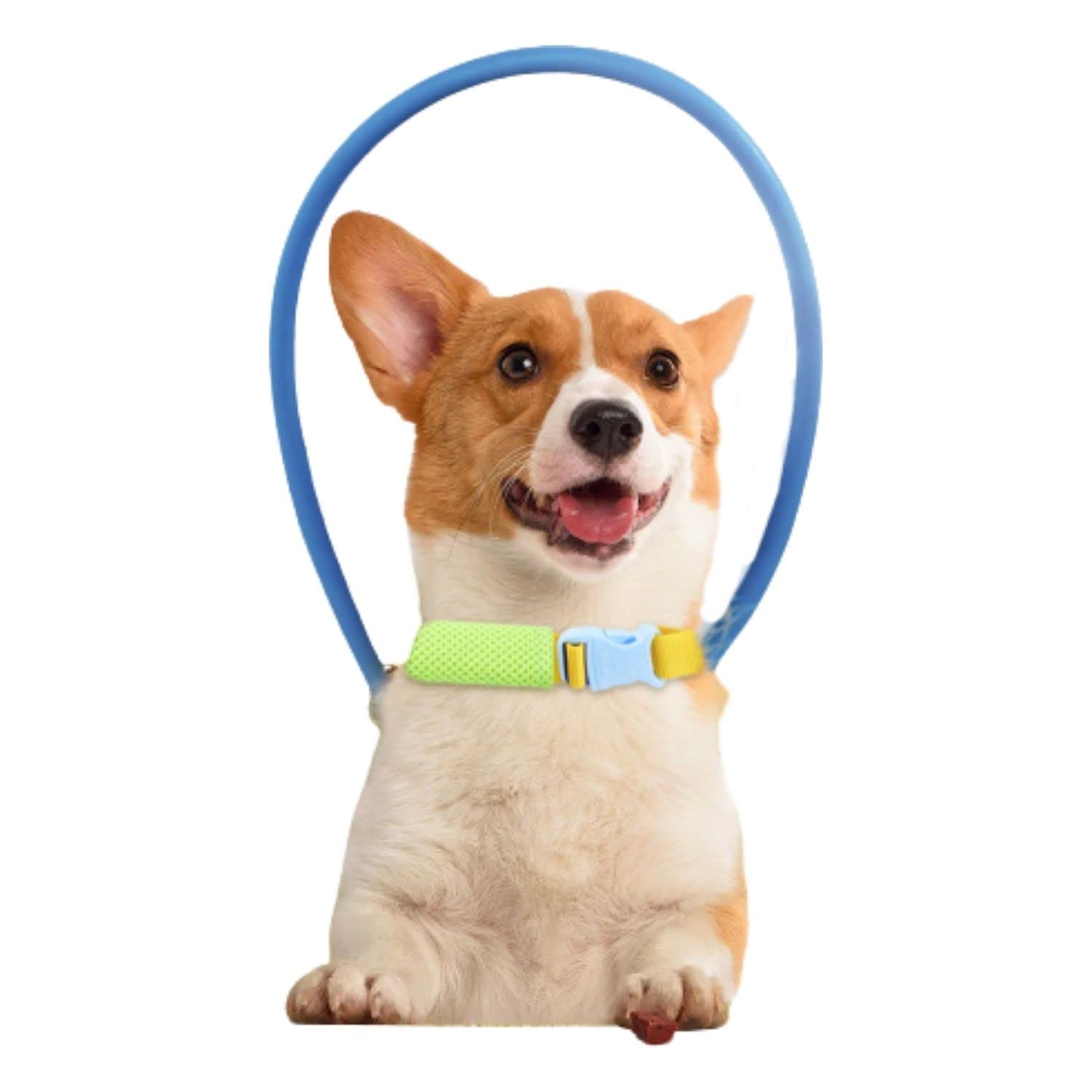 Blind Dog Harness - Easy Walk No-Pull Harness for Blind Dogs, Adjustable Emotional Support Vest with Reflective Straps & Anti-Collision Padding - Perfect for Indoor Safety & Outdoor Walks
