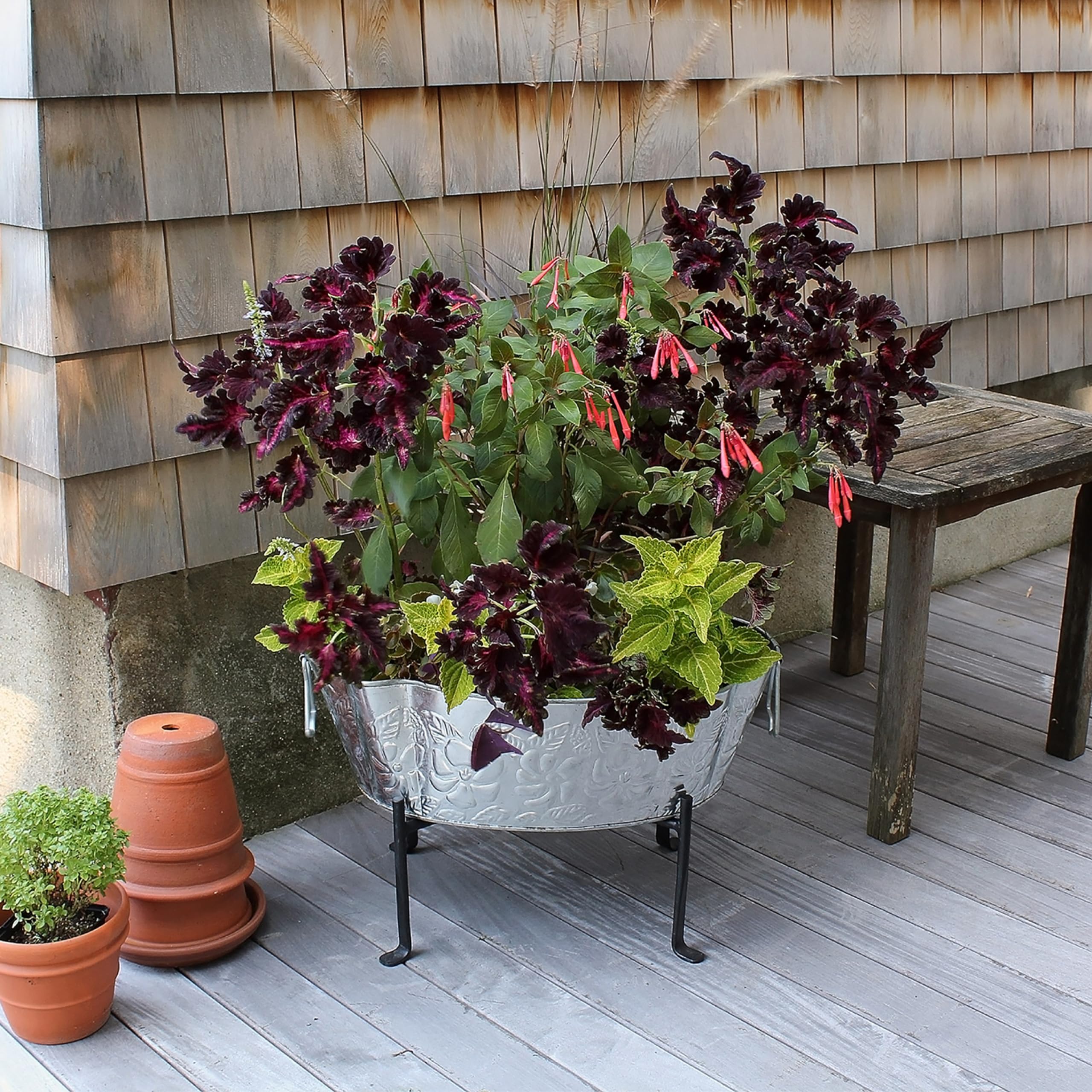 Achla Designs 150-0001 Black Folding Tabletop Plant Stand - Perfect for Indoor Herb Gardens, Balcony Decor & Small Space Gardening
