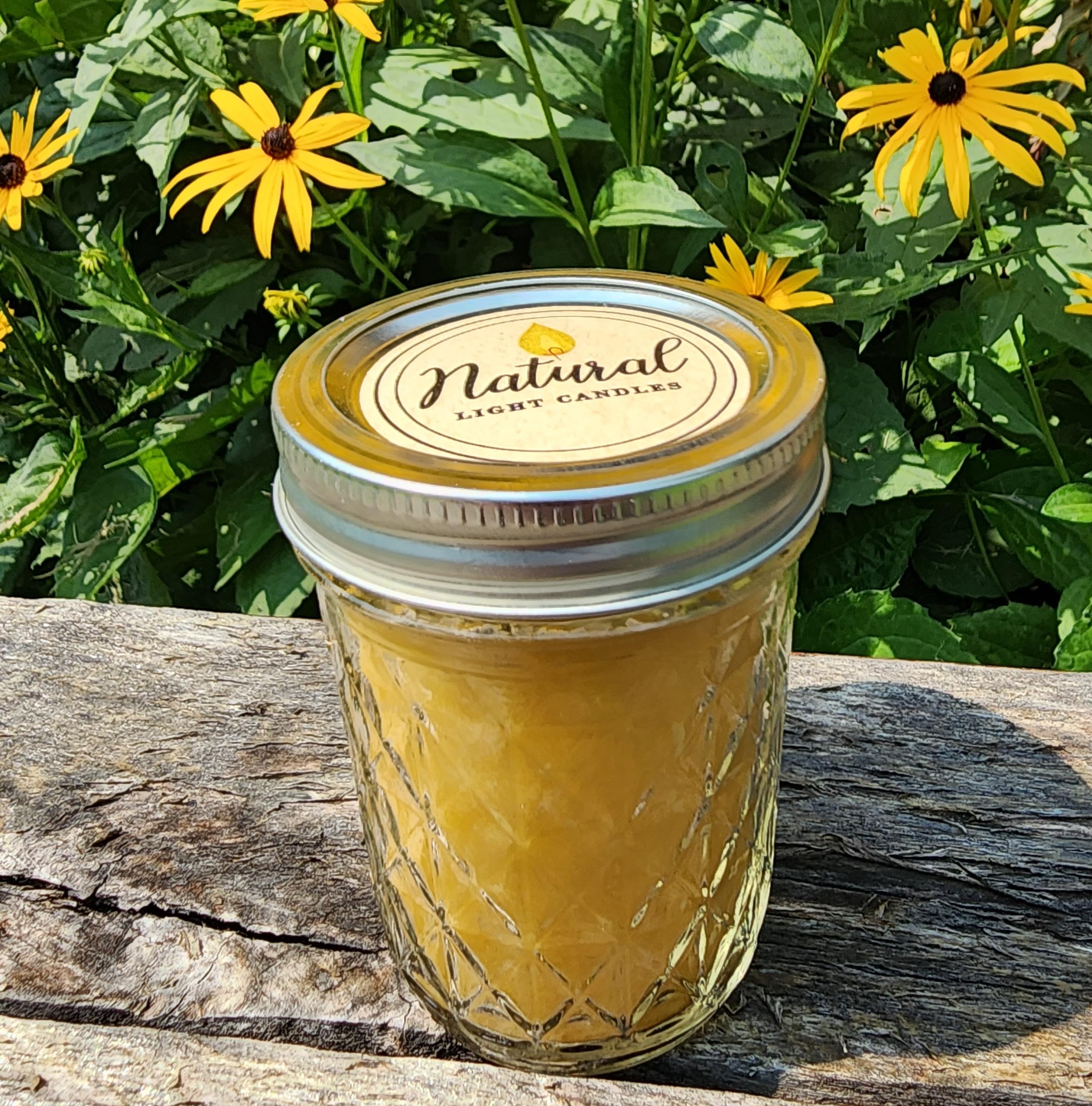 12 Beeswax Jar Candles - 100% Pure Natural Michigan Beeswax, Long-Lasting 45 Hour Burn Time, Bulk Pack for Home Decor, Wedding Centerpieces & Aromatherapy Relaxation
