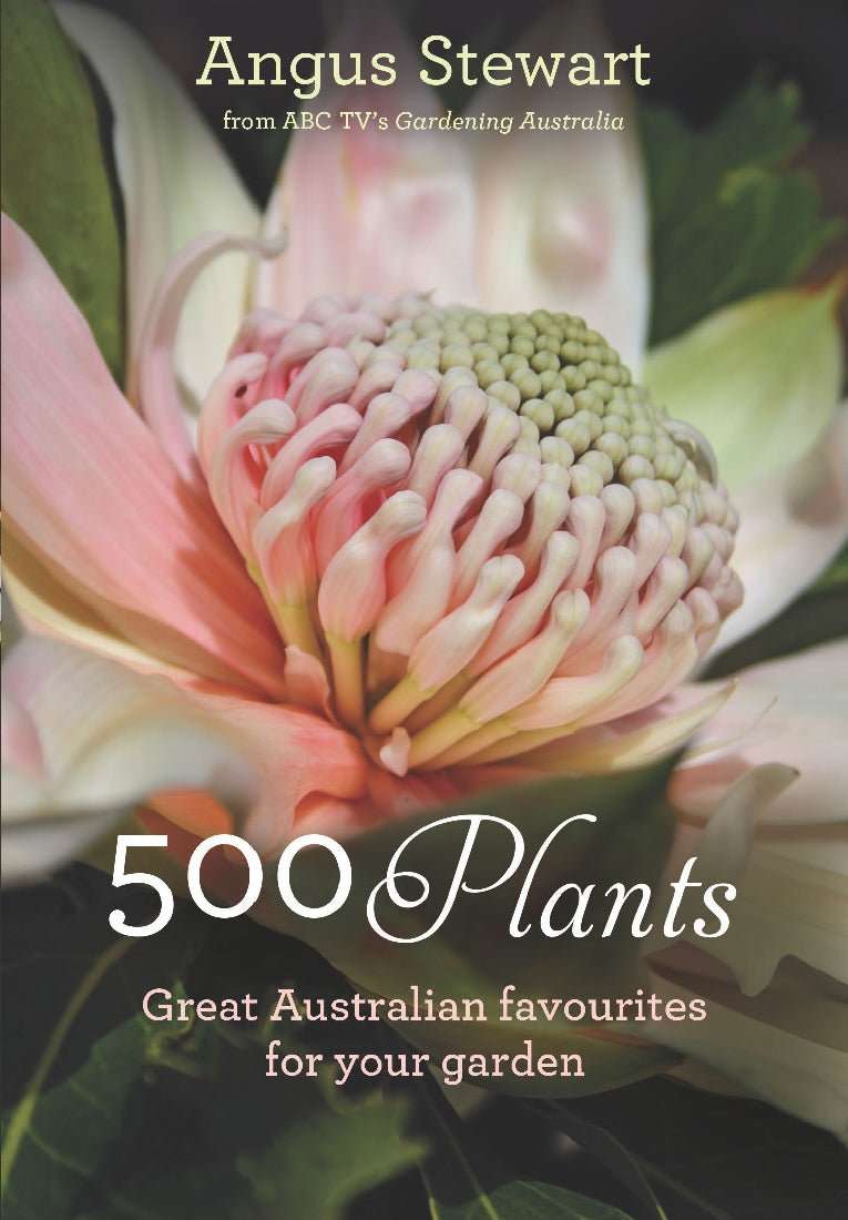 500 Plants: Best Australian Favorites for Your Garden - Perfect for Landscaping, Backyard Decor & Outdoor Gardening