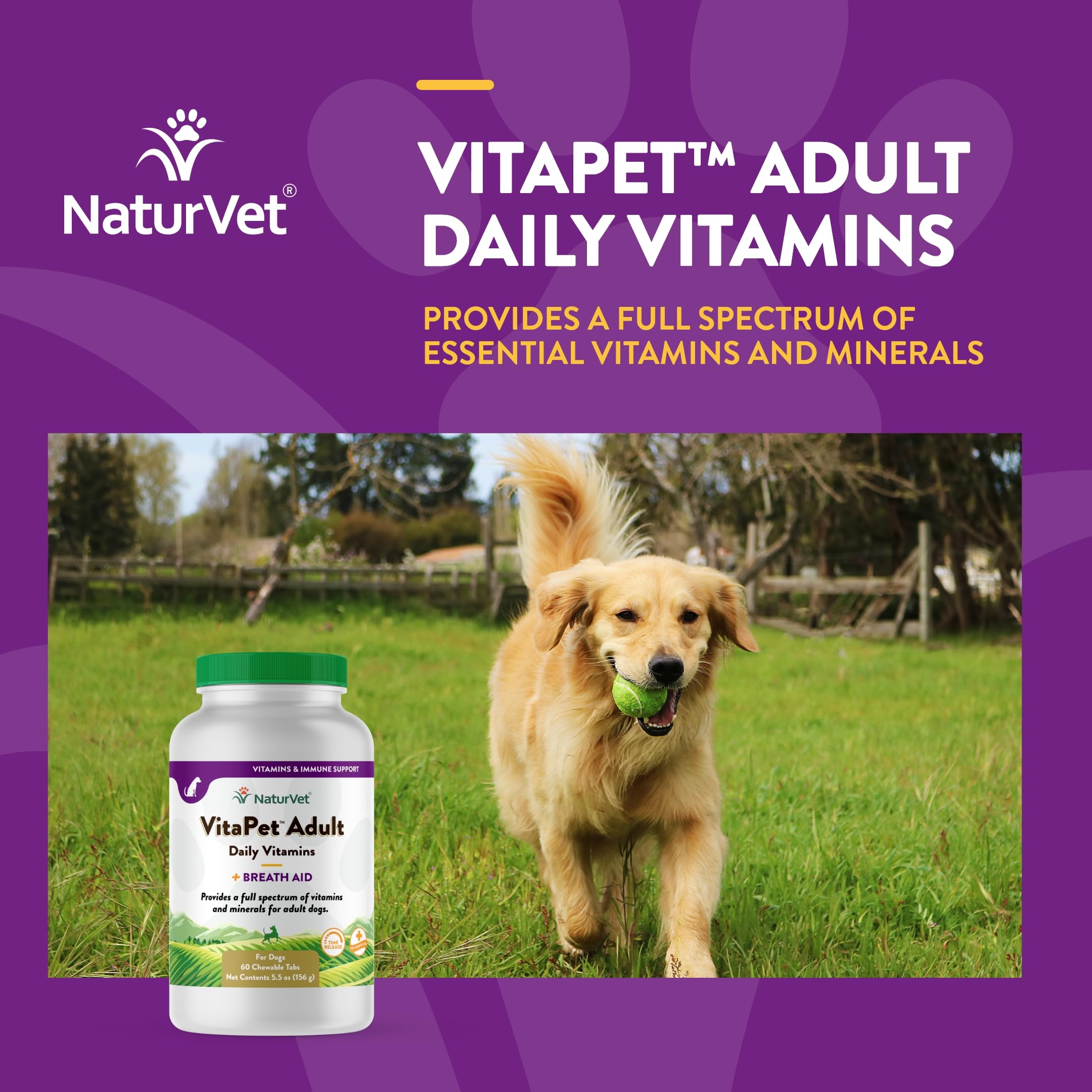 NaturVet VitaPet Adult Daily Multivitamin for Dogs with Breath Freshener - Complete Vitamin & Mineral Supplement with Omega-6, Parsley - Supports Overall Health for Dogs 1+ Years (60 Count) - Perfect for Daily Nutrition & Oral Care