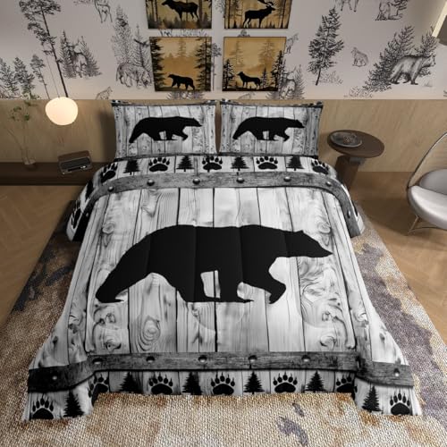 Bear Grey