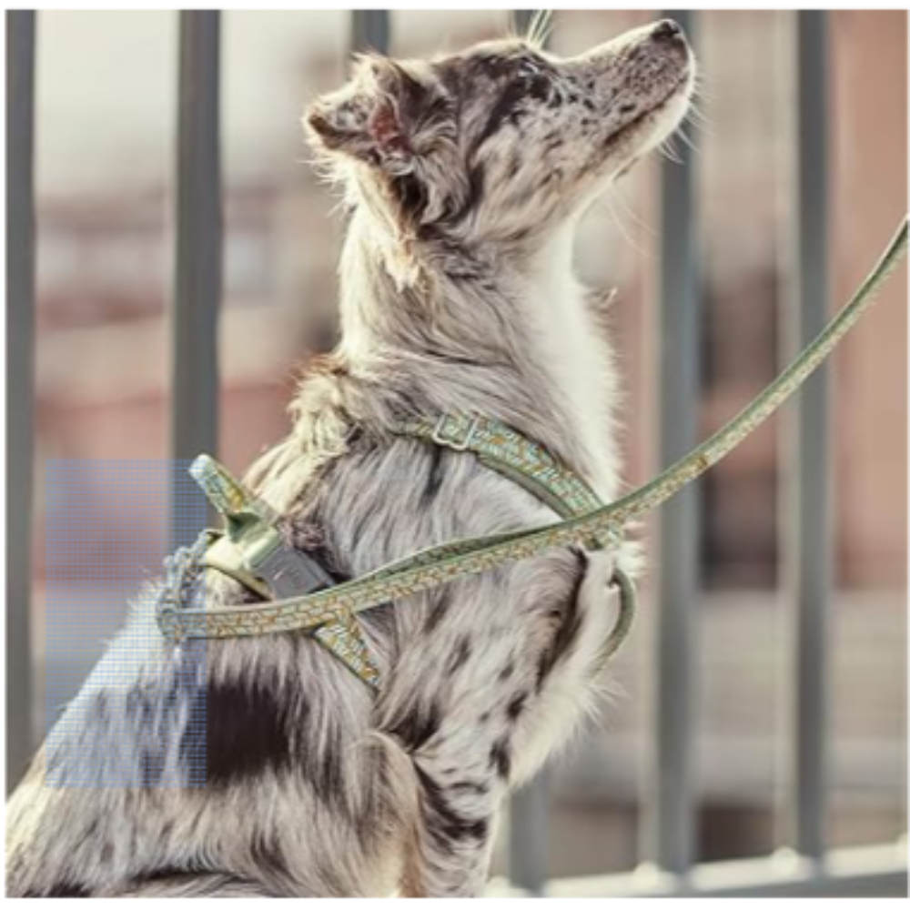 Premium No-Pull Dog Harness with Reflective Strips - Adjustable Pet Vest for Small to Large Dogs - Perfect for Walking, Running & Outdoor Adventures