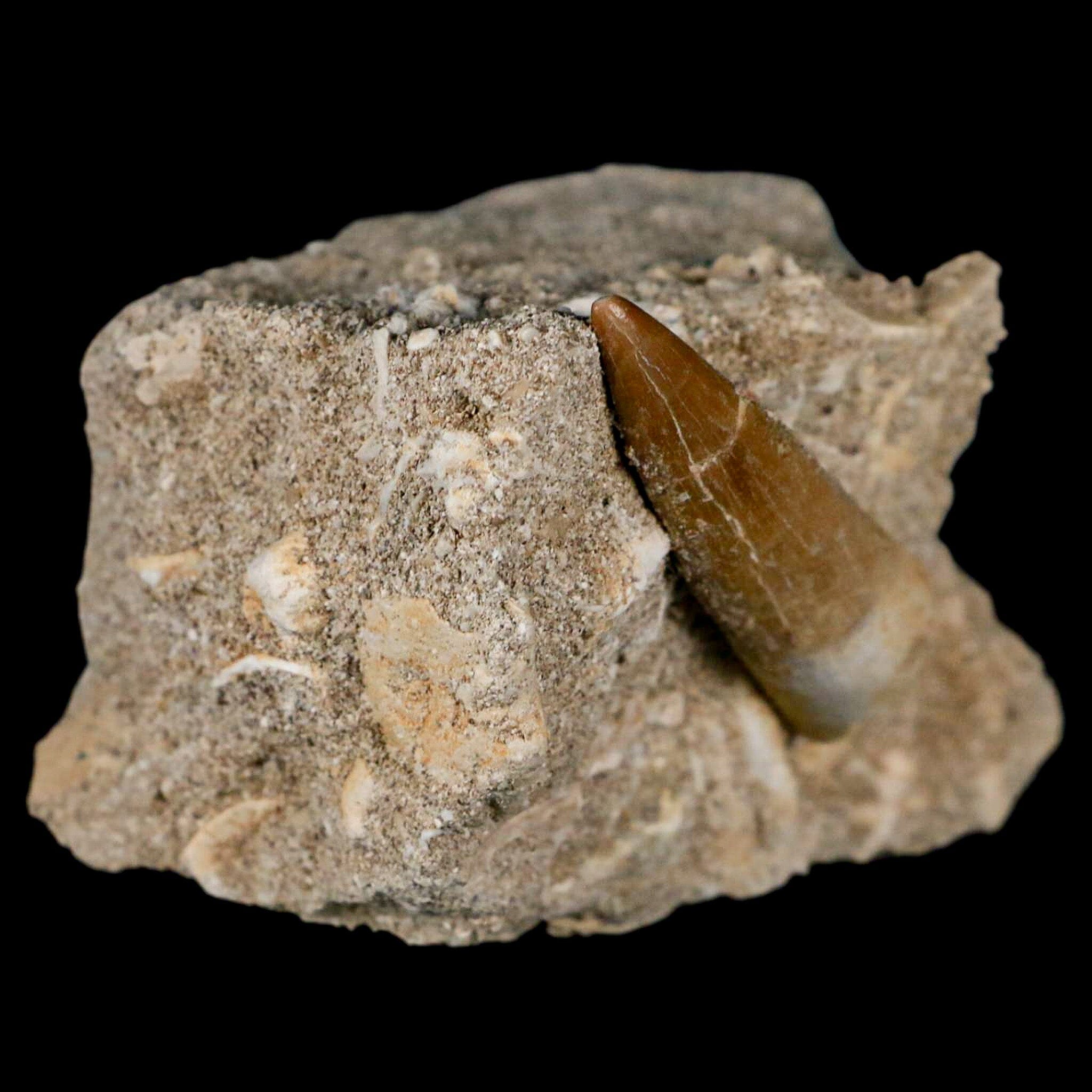 1.8