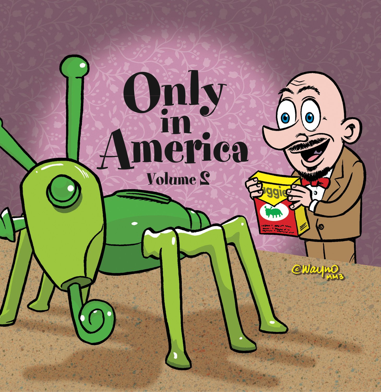 Only In America - Volume 2 | Unique American Stories & Culture | Perfect for Travel Enthusiasts & Gift Ideas