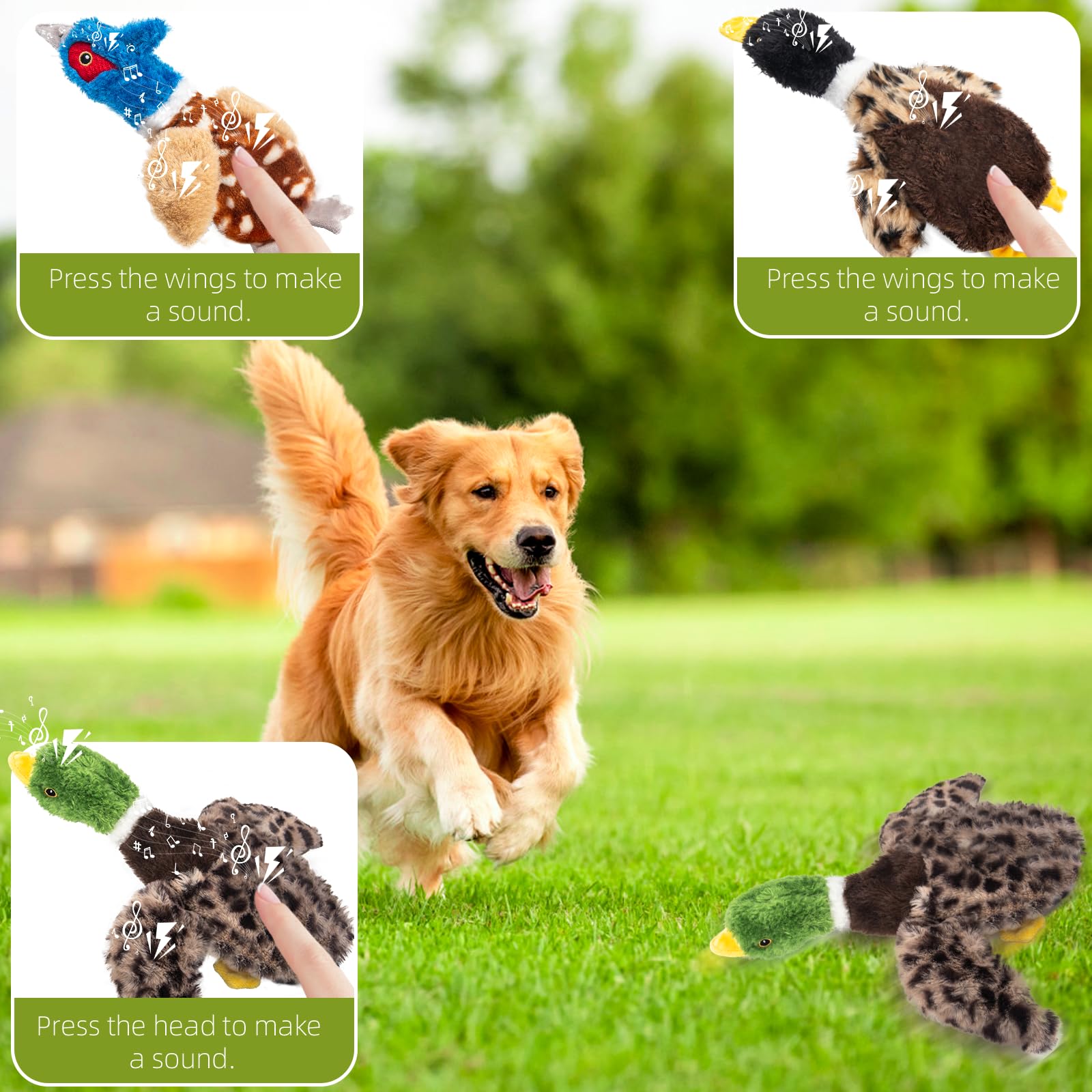 Durable Dog Squeaky Toys 3-Pack - Plush Bird Chew Toys for Small Dogs - Play & Training