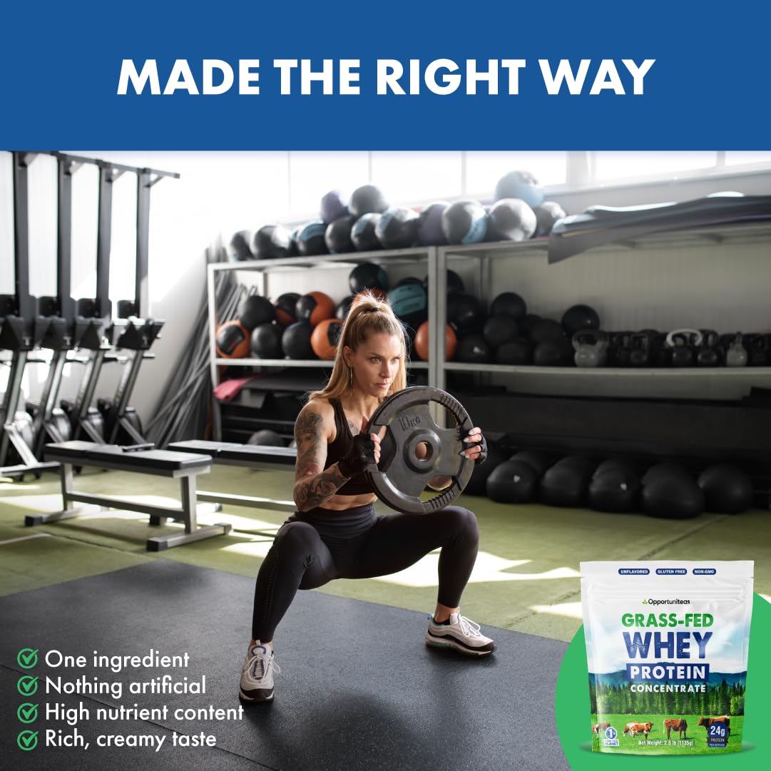 Grass Fed Whey Protein Powder Concentrate - Pure 1-Ingredient Protein Supplement for Smoothies, Shakes & Baking | Non-GMO, Hormone Free, Gluten Free | 2.5 lbs | Post-Workout Recovery & Healthy Meal Replacement