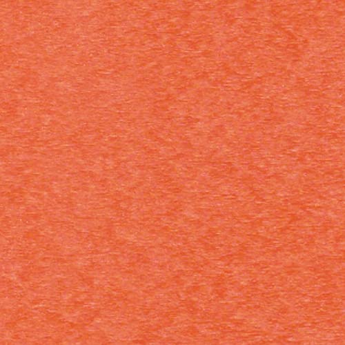 Bright Orange