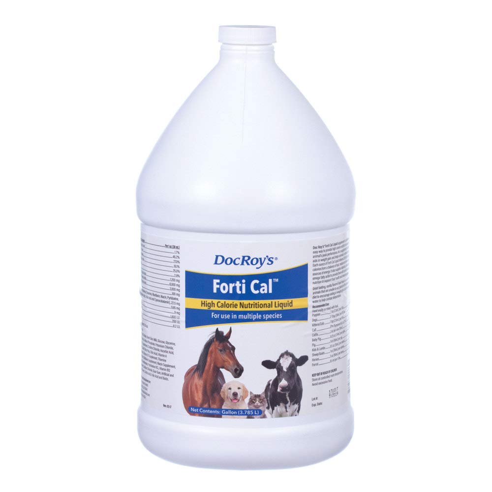 Doc Roy's Forti Cal - High Calorie Vanilla Flavored Liquid Nutritional Supplement for Dogs & Cats - 1 Gallon - Supports Weight Gain & Recovery - Perfect for Post-Surgery, Weak Pets & Picky Eaters