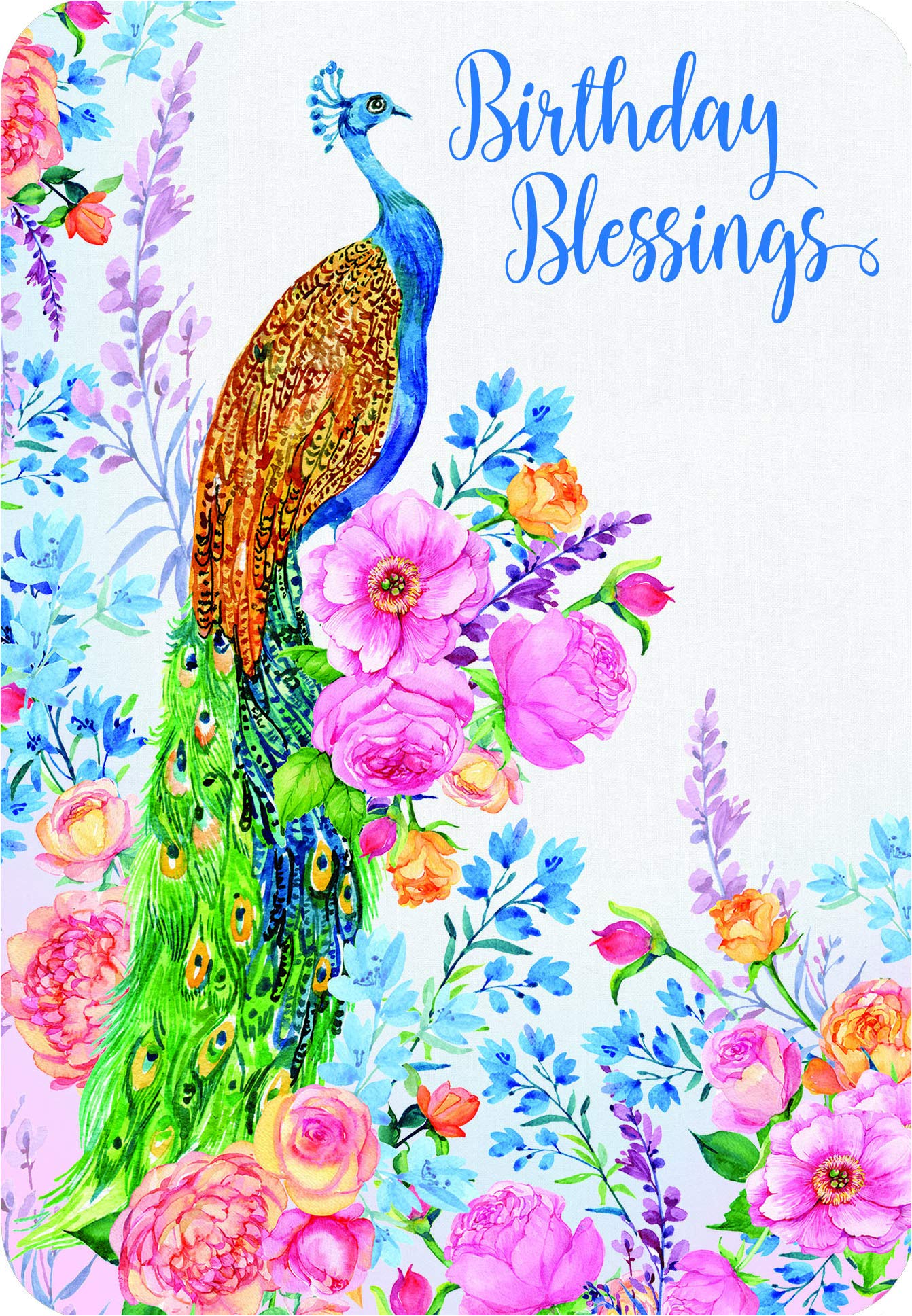 12-Pack DGR Birthday Song Birds Greeting Cards - Perfect for Birthdays, Anniversaries & Special Occasions