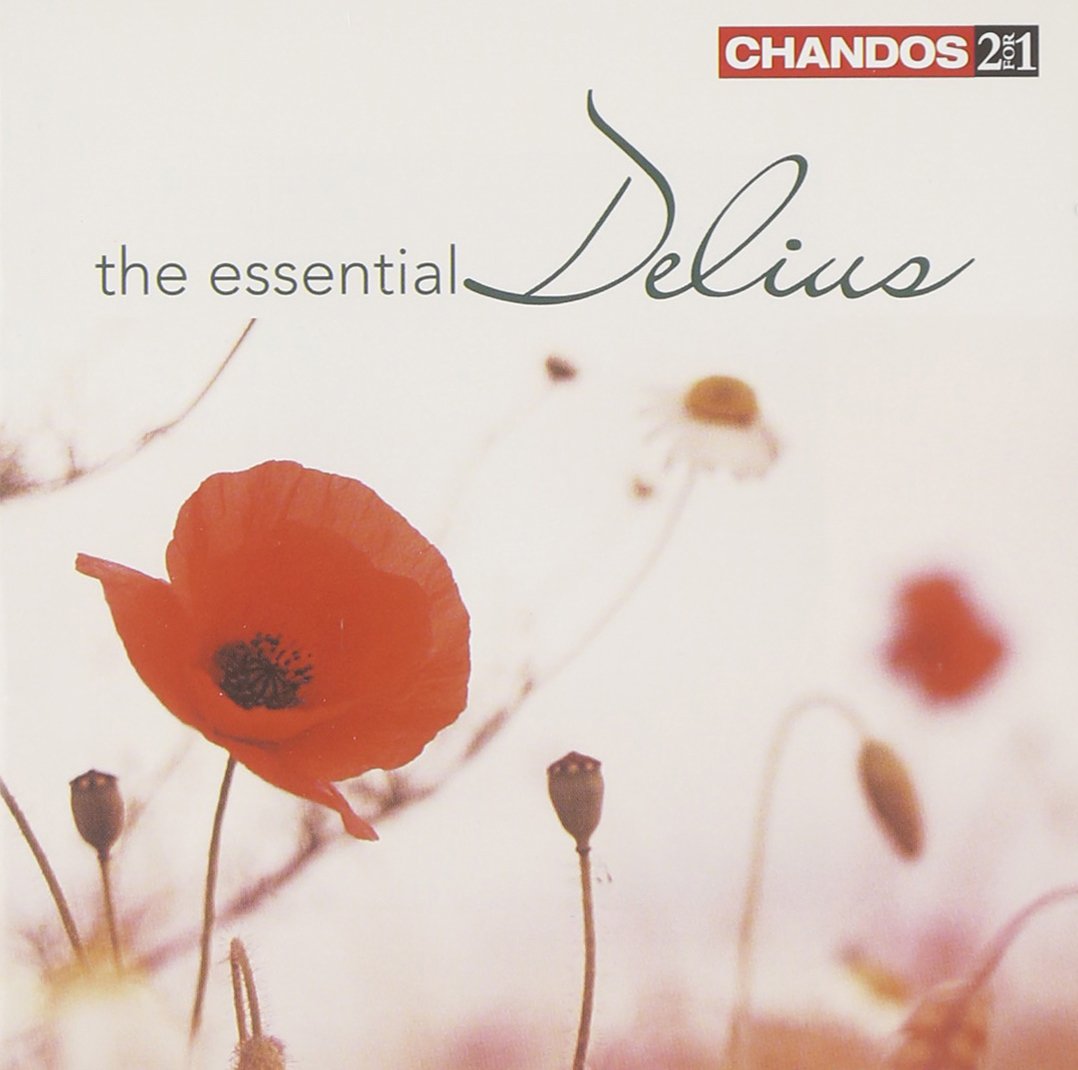 Essential Delius - Premium Quality & Comfortable Everyday Wear for Men & Women | Perfect for Casual Outfits, Work & Travel